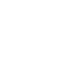 Web Logo - The image of a Tournament Cup