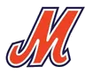 Web Logo - The image of a Tournament Cup
